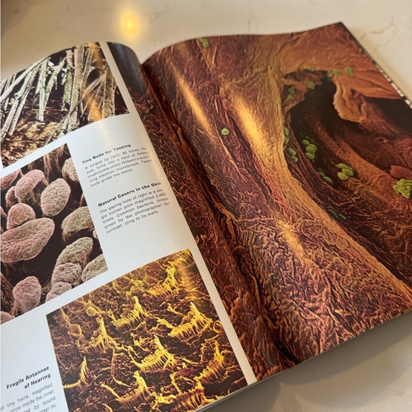 The Best of Life Magazine Book Collectible Avon Publishers Copyright 1973 Soft - Picture 9 of 11